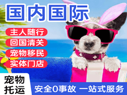 重庆航空快递国际宠物托运 【国
